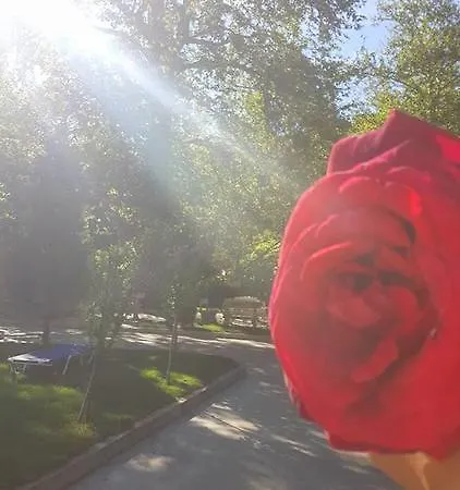 Family Delta 3* Ognyanovo