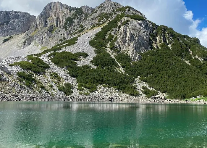 Family Delta Hotel Ognyanovo (Blagoevgrad)
